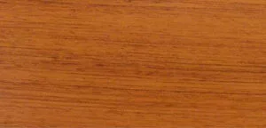 Brazilian Cherry